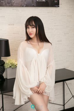 杨门女将外传